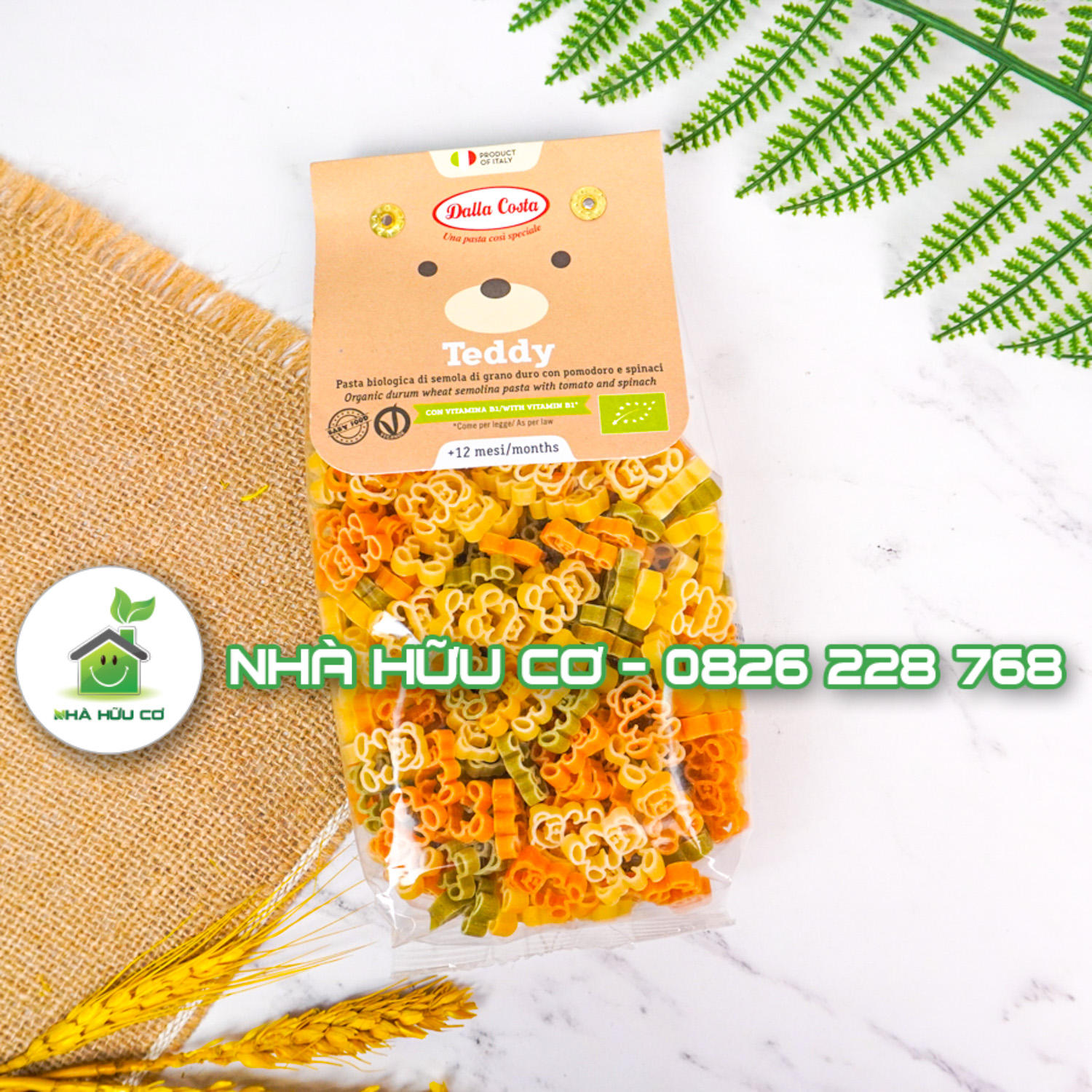 nui-gấu-teddy-dalla-costa-nhà-hữu-cơ (3)