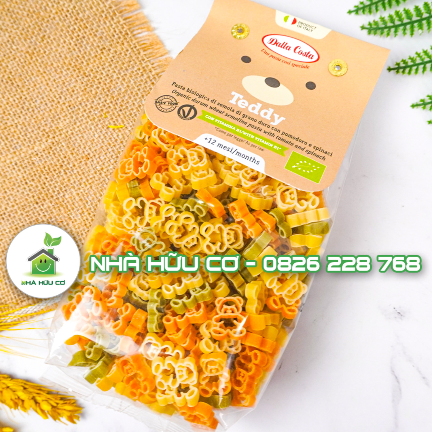 nui-gấu-teddy-dalla-costa-nhà-hữu-cơ (5)
